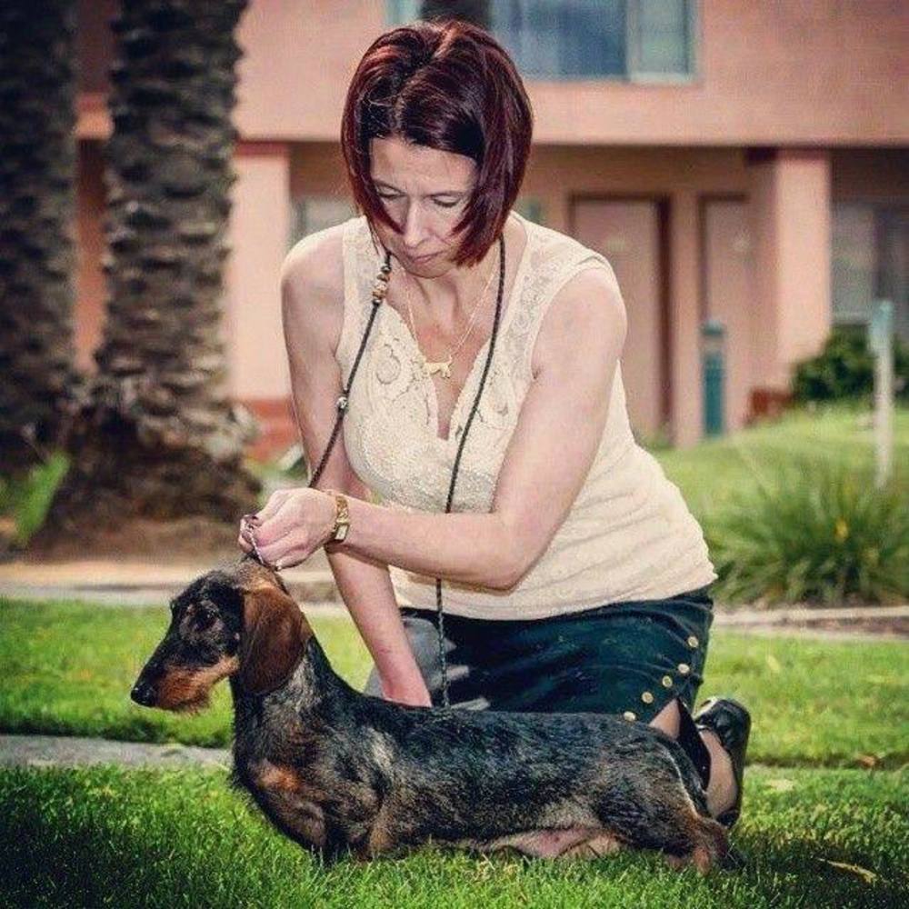 Meet your Posher, Debbie